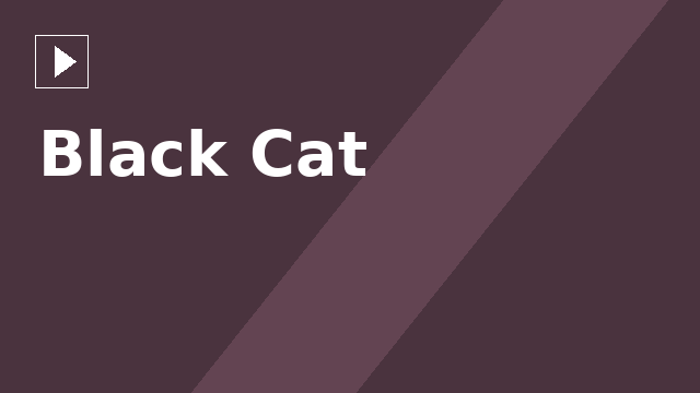 Black Cat